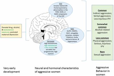 Aggression in Women: Behavior, Brain and Hormones